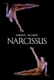 Affiche de Narcissus