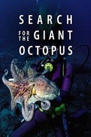 Search for the Giant Octopus series tv