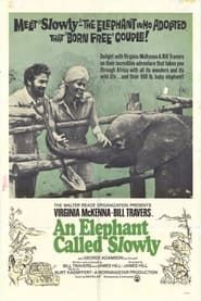 An Elephant Called Slowly-hd