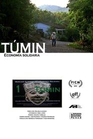 Tumin. Solidary Economy 