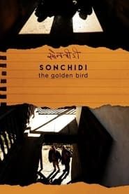 Sonchidi (2011)