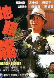 Affiche de The Dragon Fighter