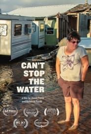 Can't Stop the Water 2013 streaming