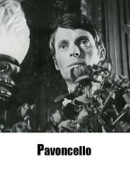 Pavoncello series tv