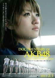 Documentary of AKB48 No Flower Without Rain series tv
