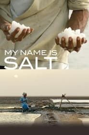 Affiche de My Name Is Salt