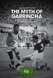 Image The Myth of Garrincha 2014