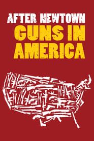 After Newtown: Guns in America series tv