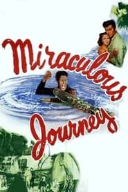 Affiche de Miraculous Journey