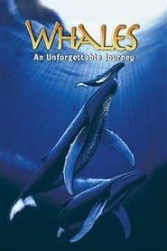 Whales: An Unforgettable Journey 1997 streaming