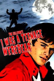 I Was a Teenage Werebear series tv