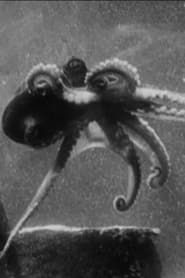 Fathoms Deep Beneath the Sea (1922)