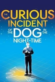 National Theatre Live: The Curious Incident of the Dog in the Night-Time series tv