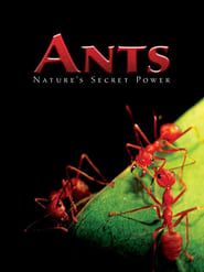 Ants - Nature's Secret Power series tv