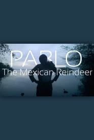 Pablo The Mexican Reindeer series tv