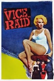 Affiche de Vice Raid