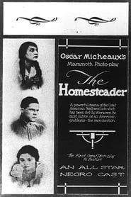 Image The Homesteader 1919