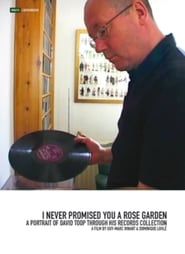 I Never Promised You a Rose Garden: A Portrait of David Toop Through His Records Collection series tv