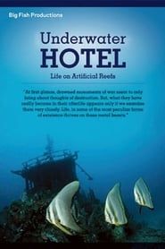 Underwater Hotel - Life On Artificial Reefs series tv