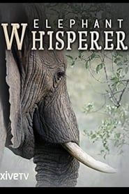 Image Elephant Whisperer 2012