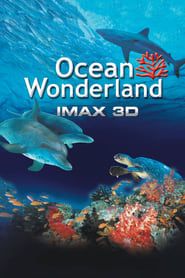 Affiche de Les Merveilles de l'Océan 3D