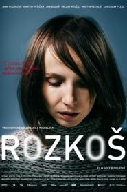 Rozkoš (2013)