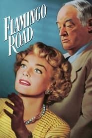 Boulevard des passions (1949)