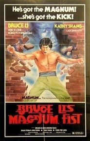 Bruce Li's Magnum Fist series tv