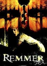 Remmer (2004)