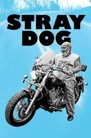 Stray Dog series tv