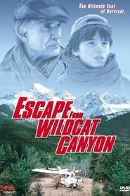 watch Escape from Wildcat Canyon