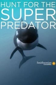 The Search for the Ocean's Super Predator series tv