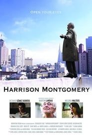 Harrison Montgomery series tv