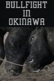 Bullfight in Okinawa series tv