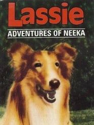 Image Lassie: The Adventures of Neeka 1969