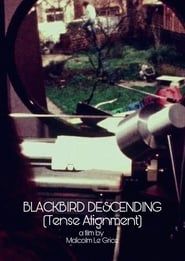 Image Blackbird Descending - Tense Alignment 1977