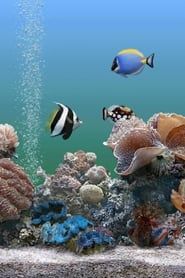 Coral Dreamscapes: An Exotic Aquarium-hd