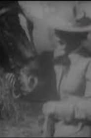 The Girl from Montana (1907)