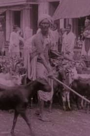 Picturesque India or, In and About Calcutta 1913 streaming