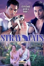 Stray Cats series tv