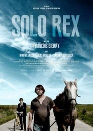 Affiche de Solo Rex