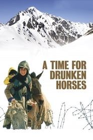 Affiche de A Time for Drunken Horses