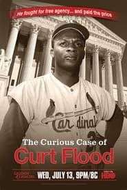 Image The Curious Case of Curt Flood 2011