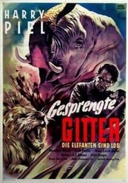 Gesprengte Gitter (1953)