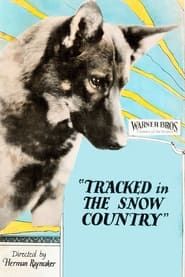 Tracked in the Snow Country 1925 streaming