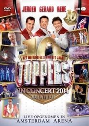 Image Toppers In Concert 2014