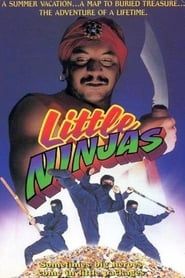 Little Ninjas series tv