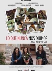 What We Never Said series tv