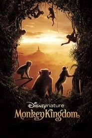 Au Royaume des singes (2015)