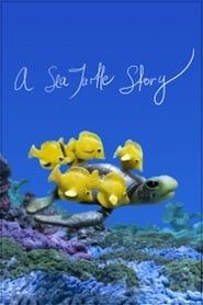 Affiche de A Sea Turtle Story